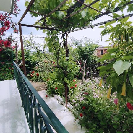 Corfu countryside apartment Potamós Extérieur photo